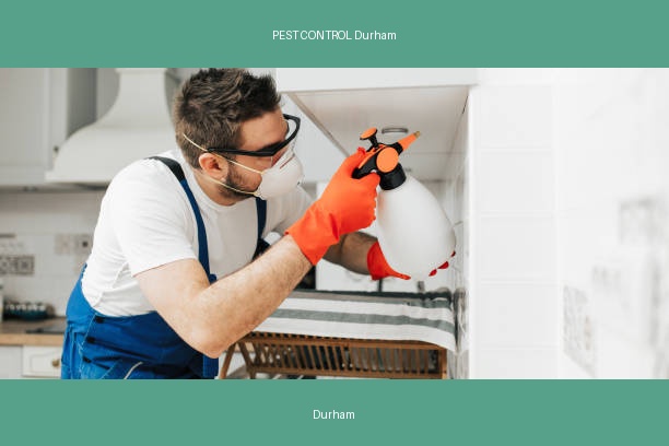 PEST CONTROL Durham